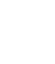 /BusinessPartnerProgramAsset/WhyProfessionalTrainingPageAssets/FullTrainingStructure/1.png