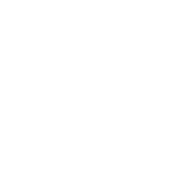 /BusinessPartnerProgramAsset/WhyProfessionalTrainingPageAssets/FullTrainingStructure/2.png