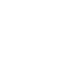 /BusinessPartnerProgramAsset/WhyProfessionalTrainingPageAssets/FullTrainingStructure/4.png