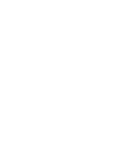 /BusinessPartnerProgramAsset/WhyProfessionalTrainingPageAssets/FullTrainingStructure/6.png