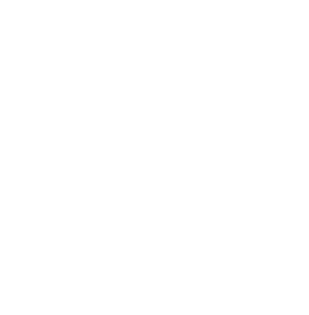 /BusinessPartnerProgramAsset/WhyProfessionalTrainingPageAssets/FullTrainingStructure/8.png
